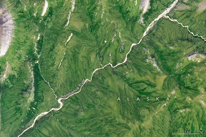 Alaska rusty rivers from the July 14 harvest