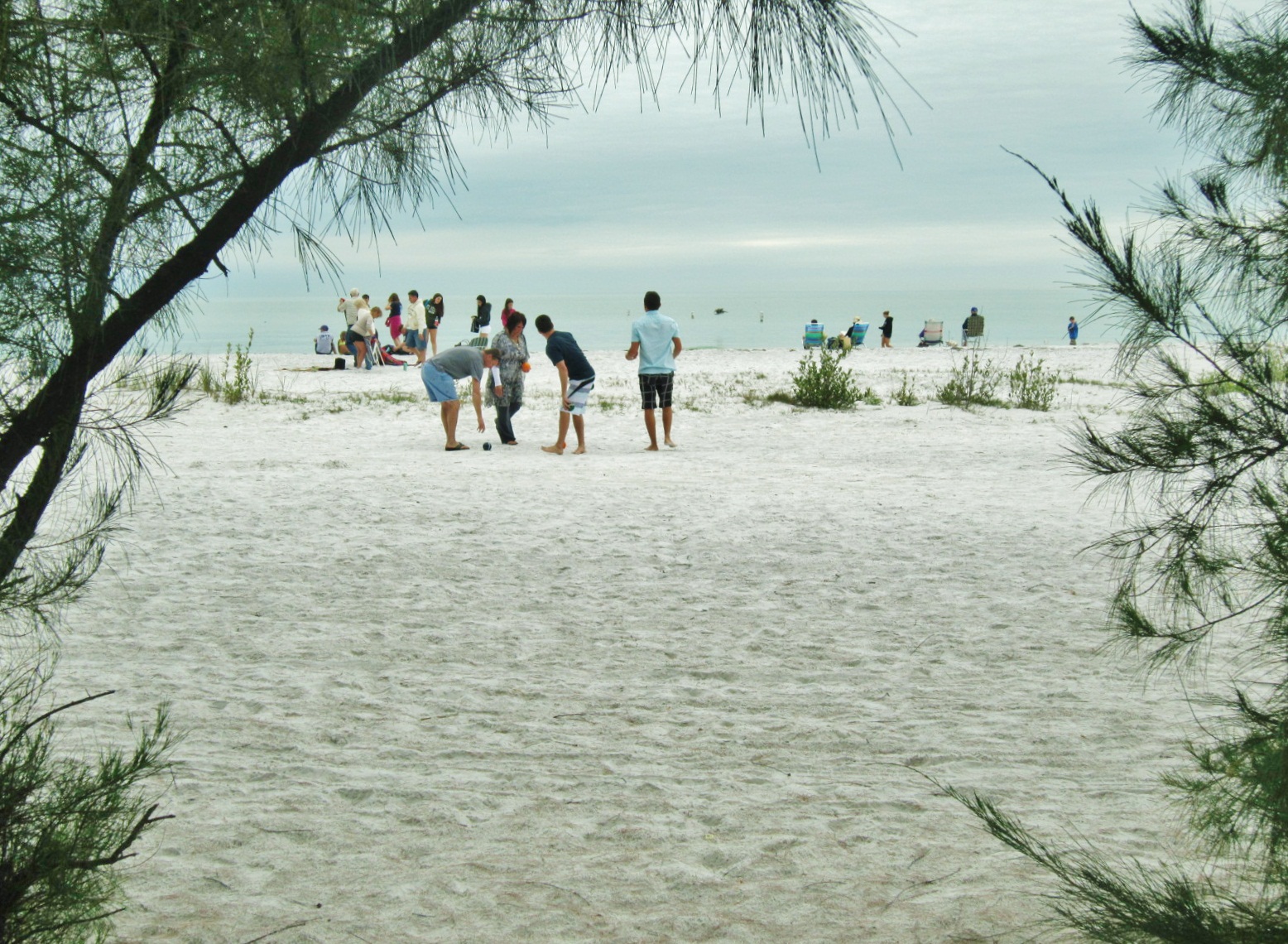 Fort De Soto white sand beach from the July 14 harvest